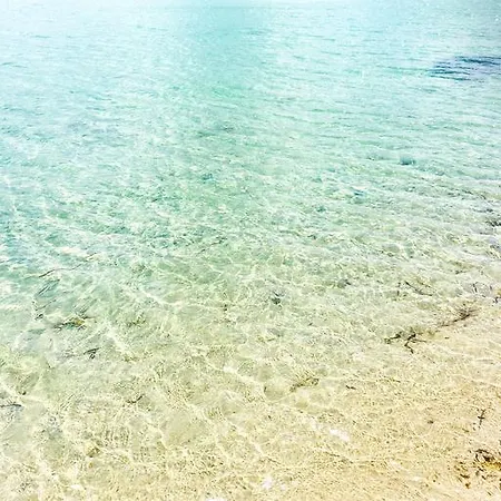 Ortensia Golfo Aranci