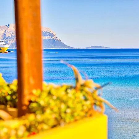 Ortensia Golfo Aranci